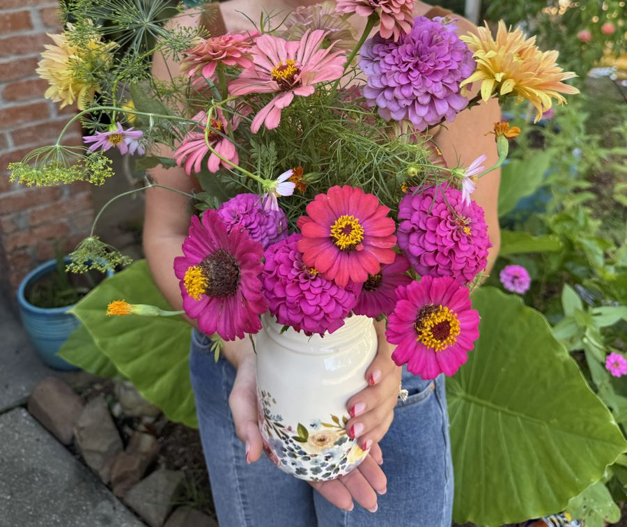 Hands holding a vase of zinnias, cosmos, dahlias and dill