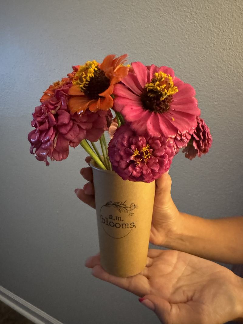 Zinnias in an a.m. blooms kraft cup with the logo printed on it