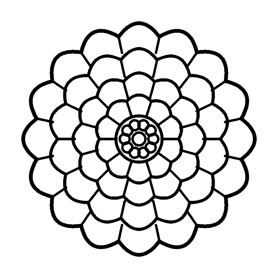 Line drawing of a double zinnia with bold, simple petals to color