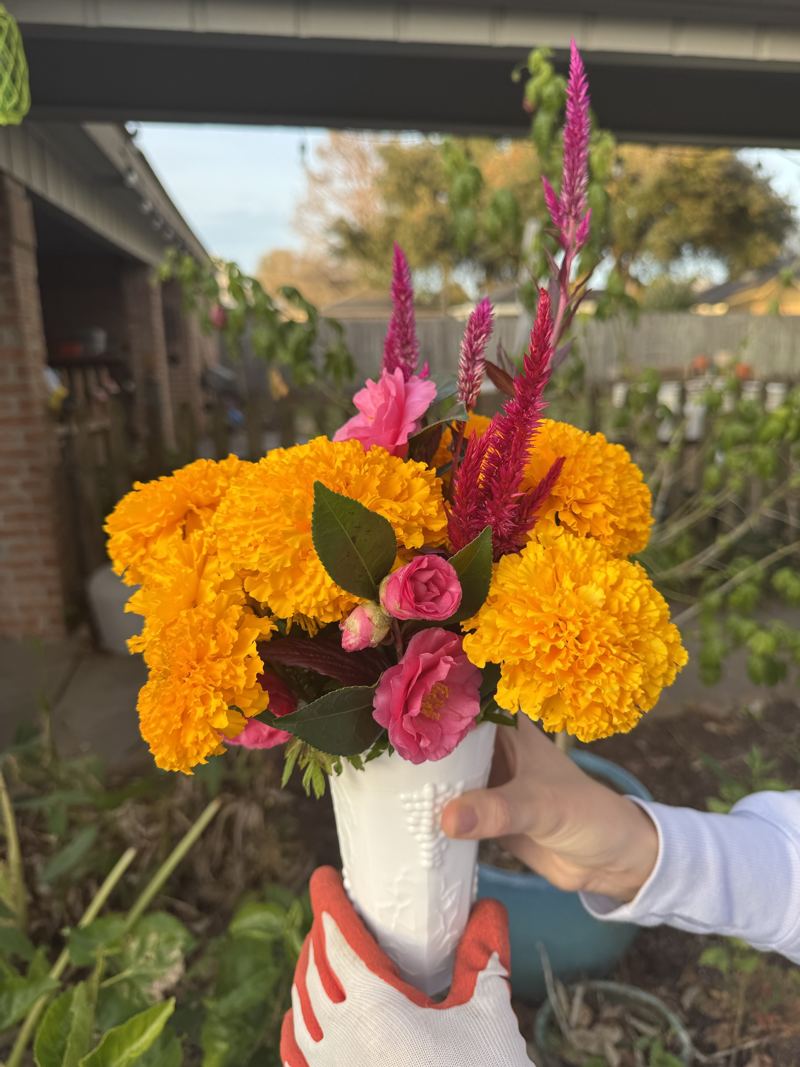 Marigolds, camellias and celosia in a milk glass vase